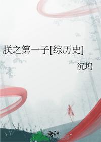 朕之第一子[综历史]